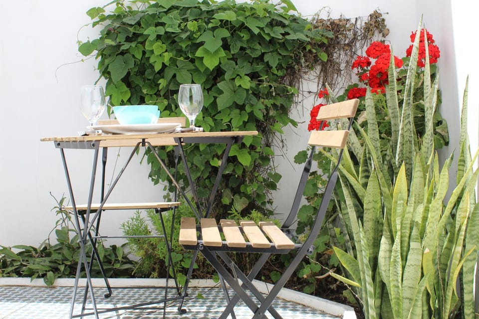 Patio, Garden, Garden