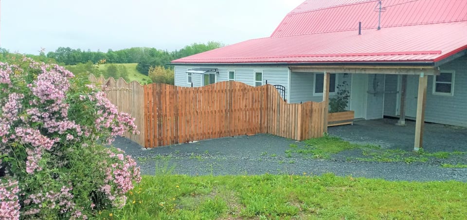 Patio, Spring, Garden view