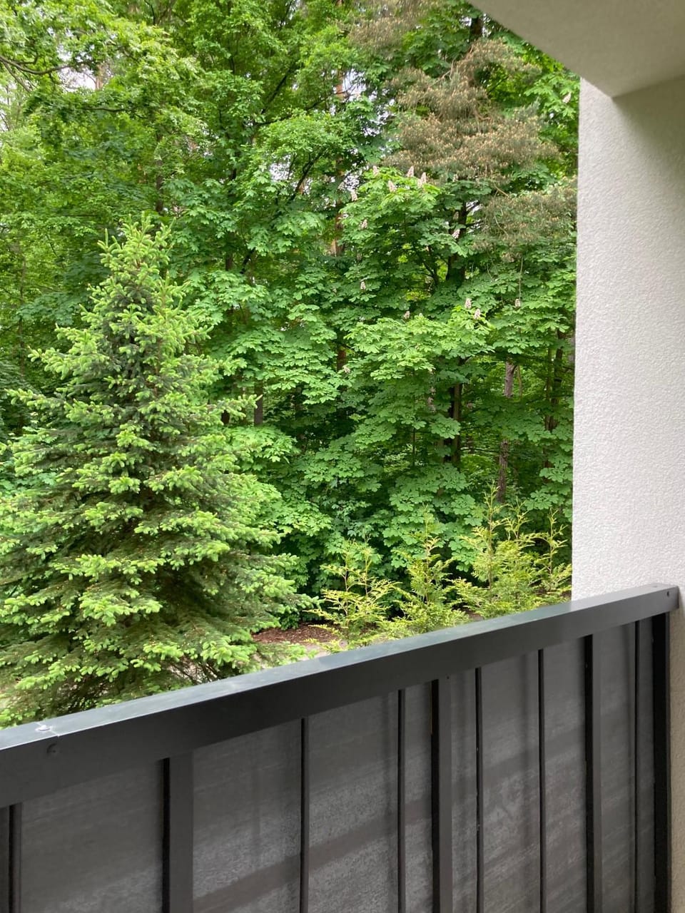 Apartament 221 przy Niedźwiadku Apartment in Lower Silesian Voivodeship