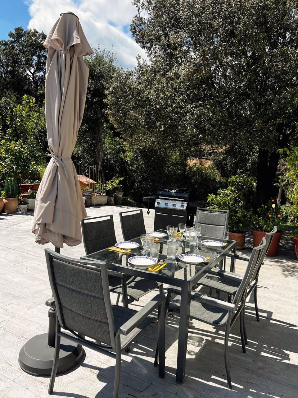 Spring, Day, Garden, Dining area, Garden view