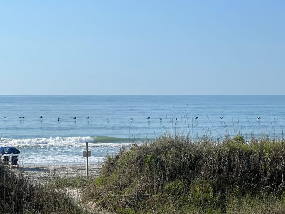 Ocean Waves I Direct Oceanfront I Ocean Pier 4 I North Myrtle Beach House in North Myrtle Beach