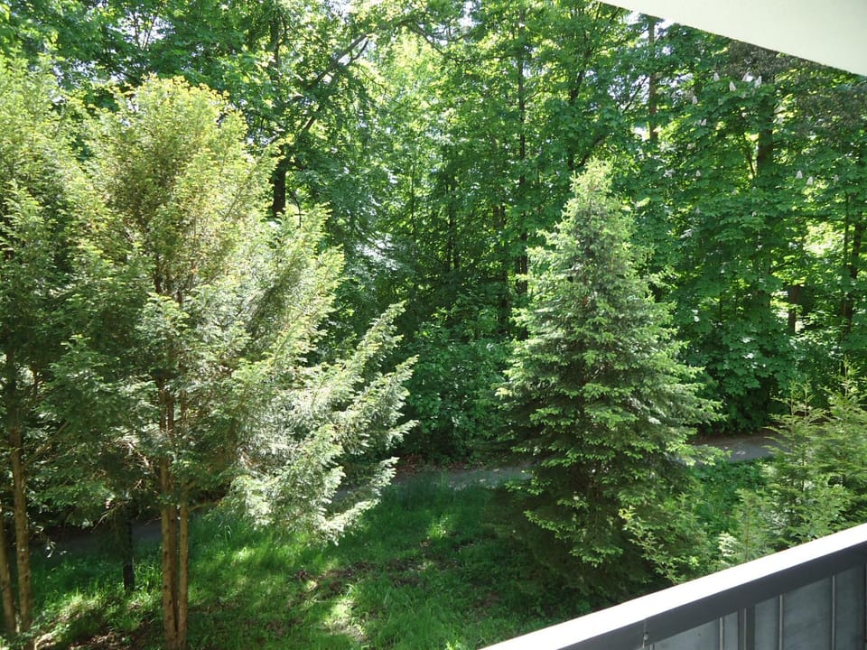 Natural landscape