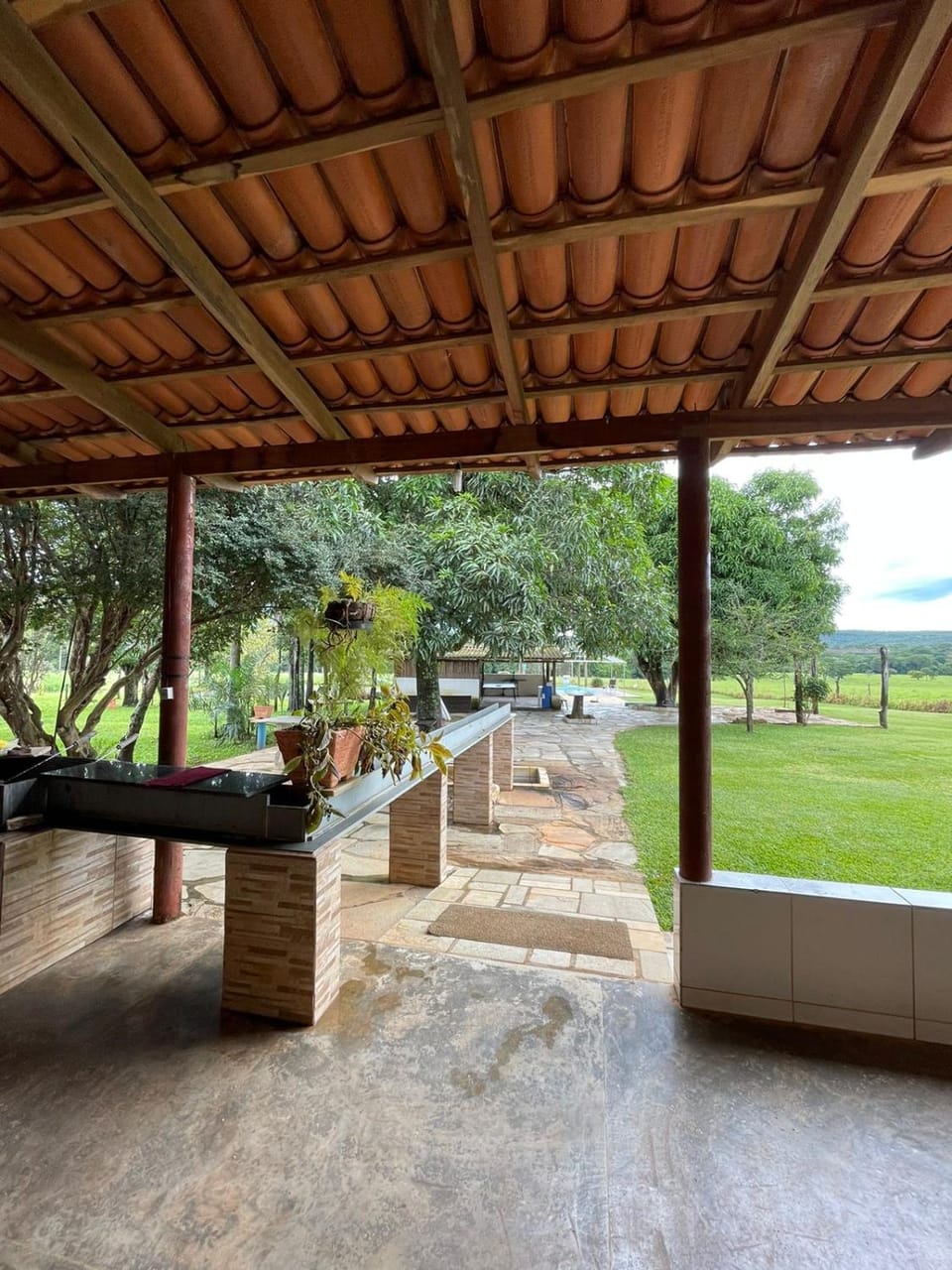 Natural landscape, Garden, Garden view