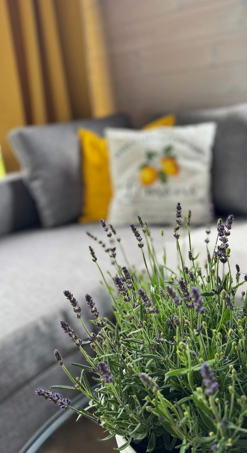 House of Nature House in West Pomeranian Voivodeship, Poland