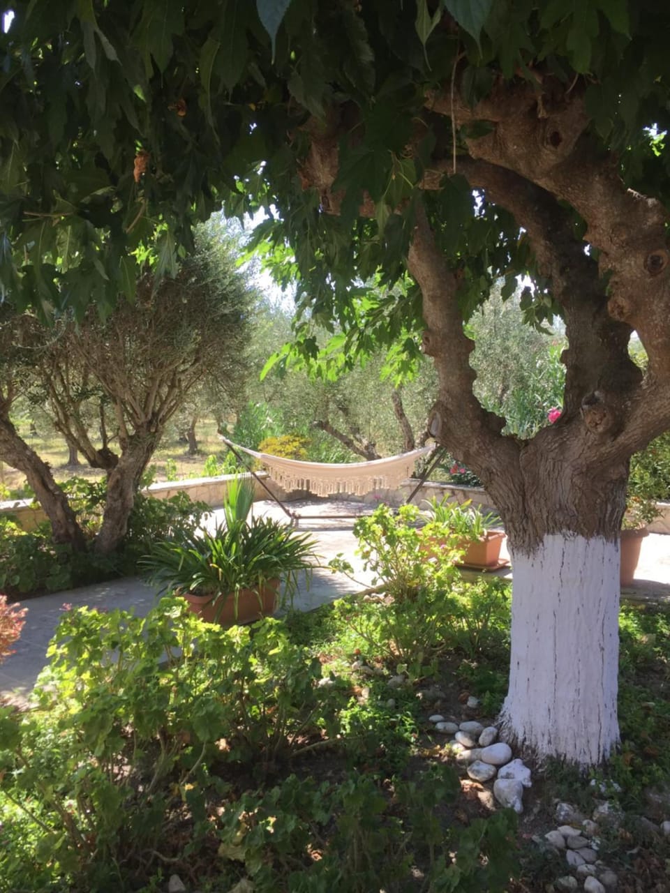 Casa Nostos Villa in Zakynthos, Greece