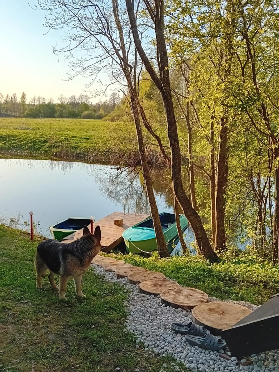 OÜ Jöeääre majutus. Campground/ 
RV Resort in Estonia