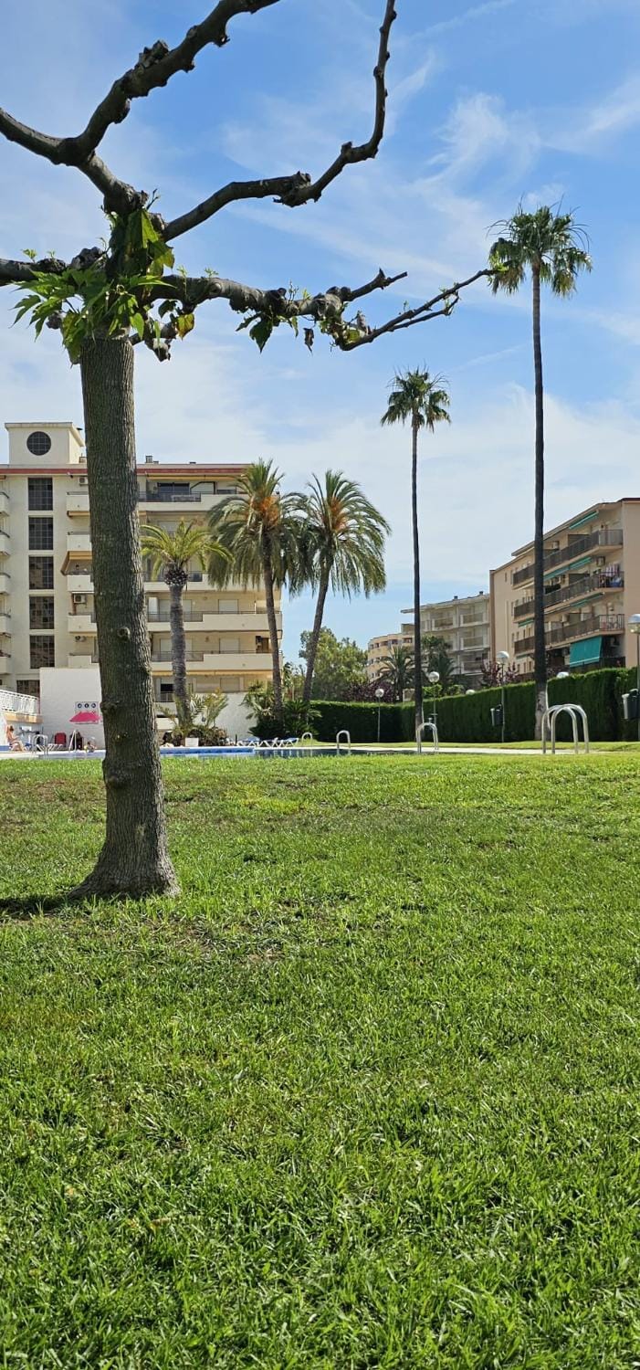 Swimming pool, sunbed