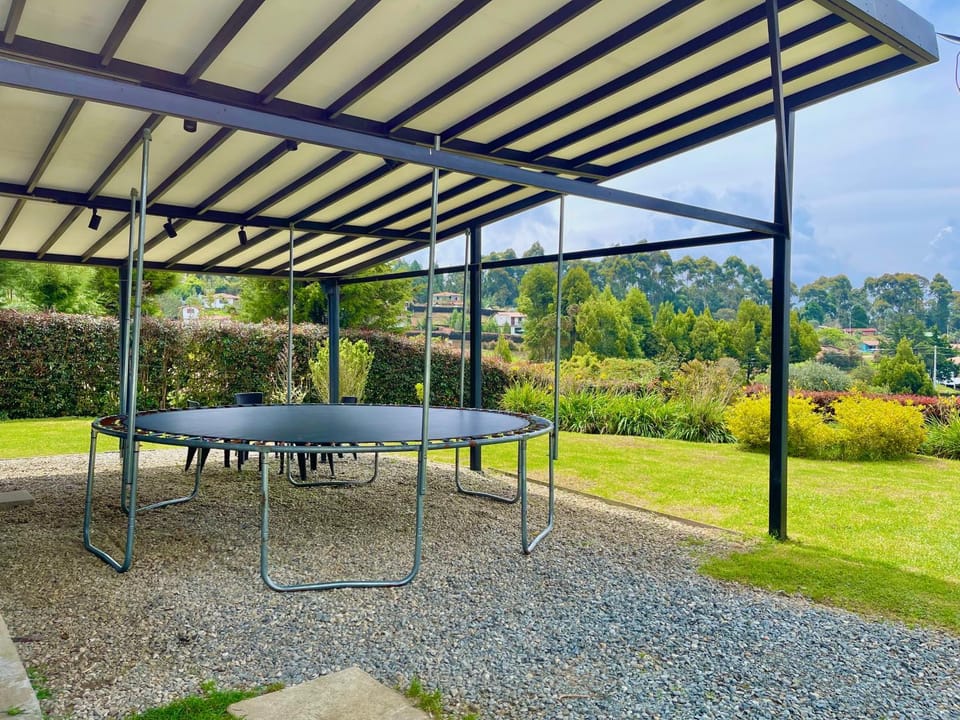Day, Garden, Garden view