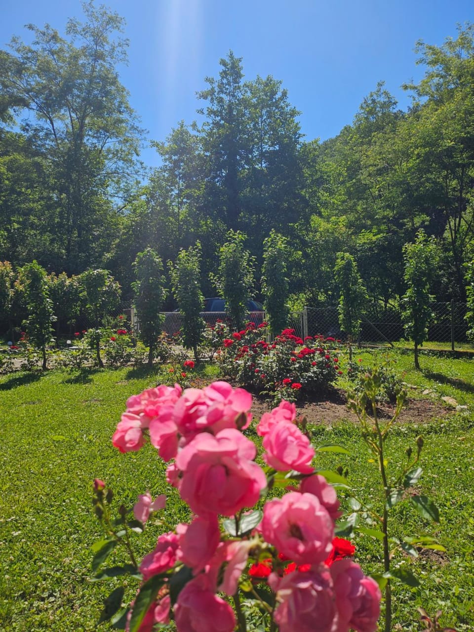 Vitez Koja House in Serbia