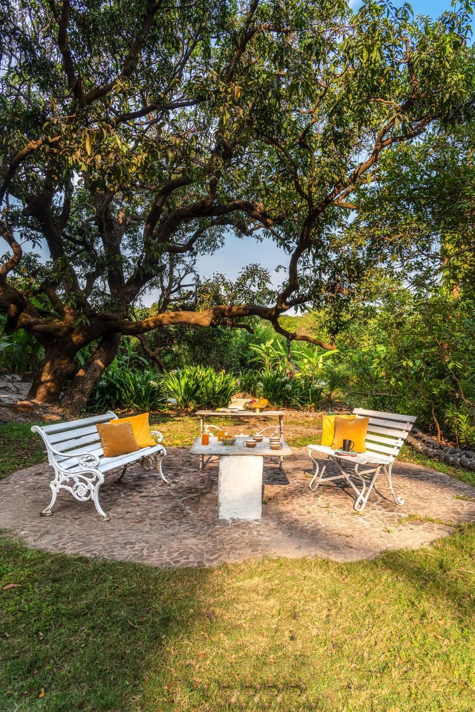 Spring, Day, Natural landscape, Garden, Coffee/tea facilities, Garden view