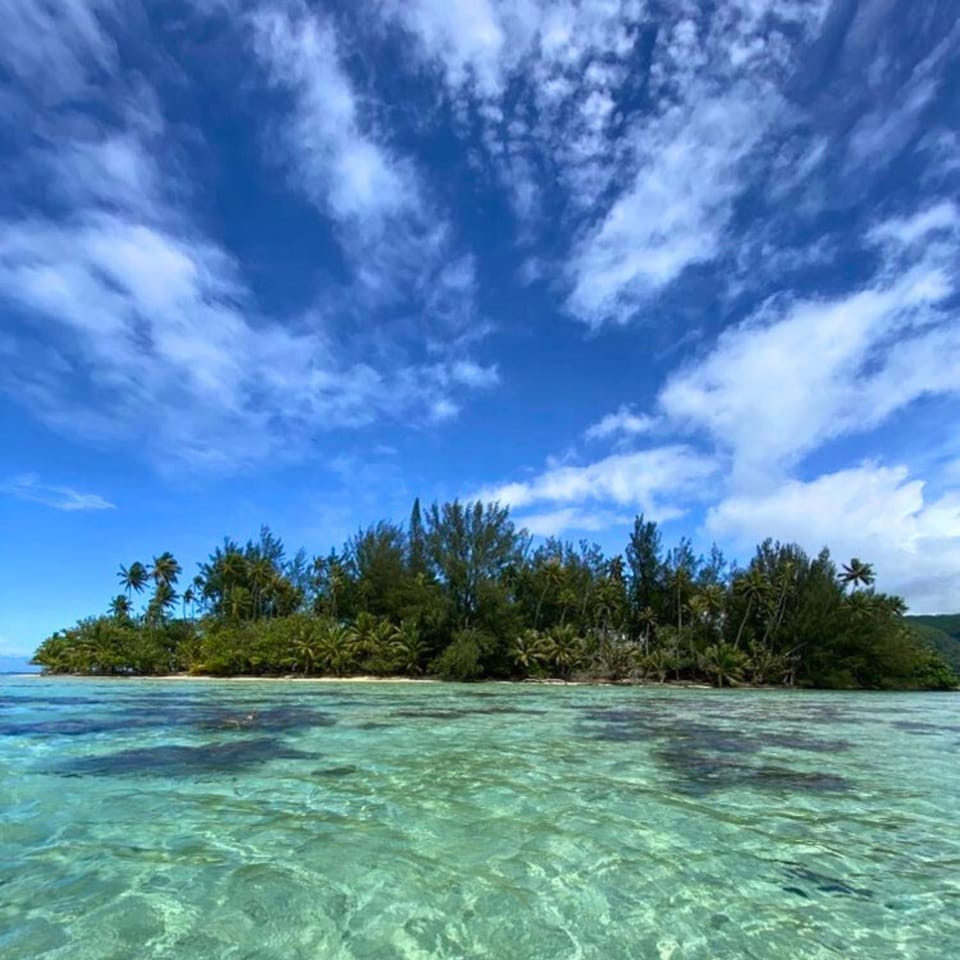 Natural landscape