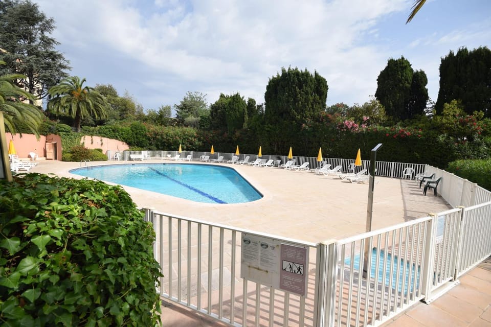 Pool view, Swimming pool, sunbed