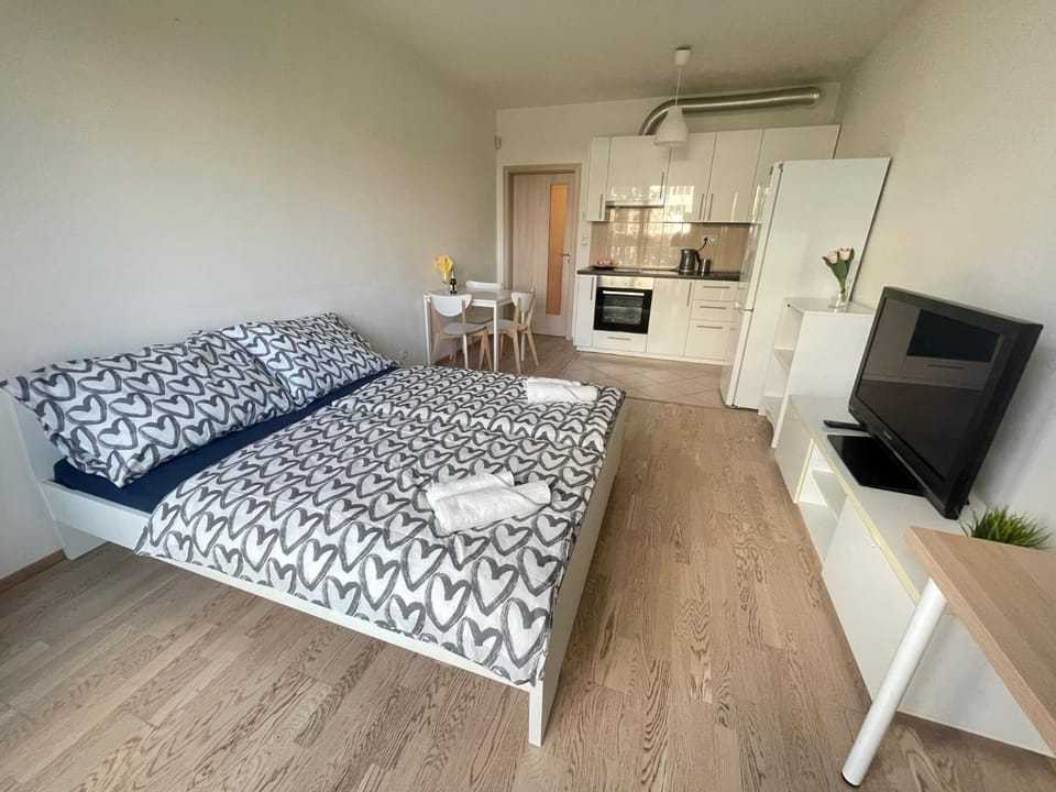 Bed, TV and multimedia, kitchen