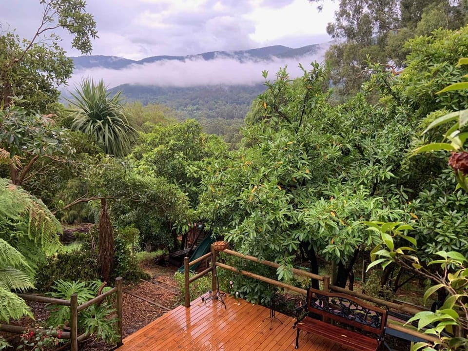 'Wahroonga' home among the Gum trees in Warburton House in Victoria