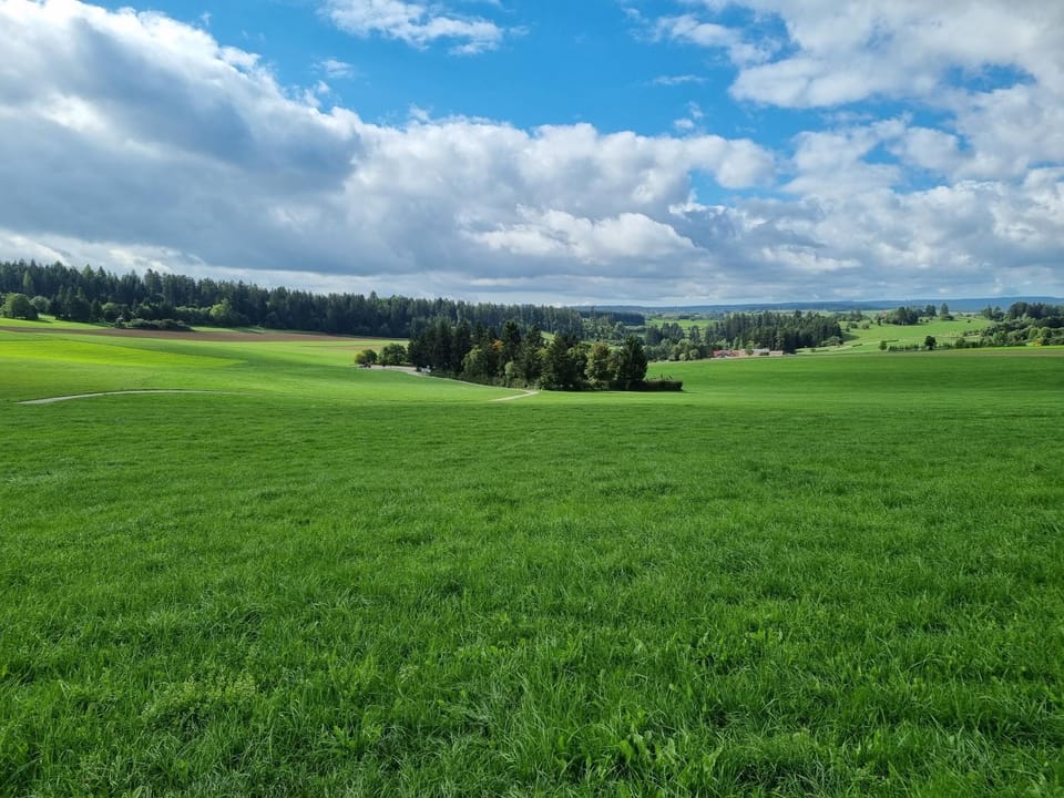 Natural landscape