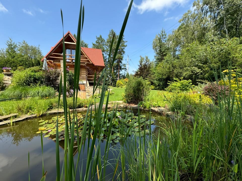 Domek w Brzezowej Villa in Lesser Poland Voivodeship