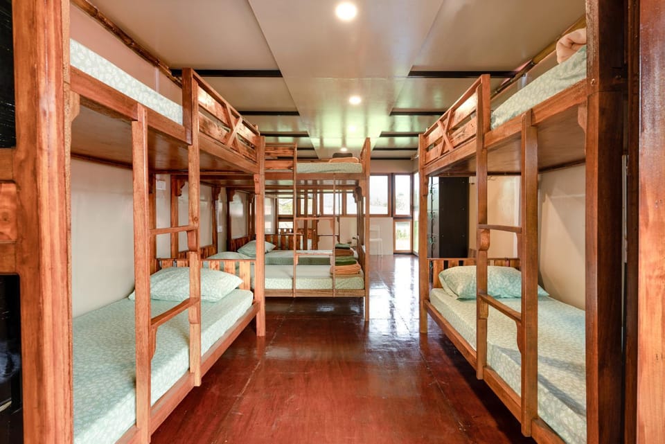 Bed, bunk bed