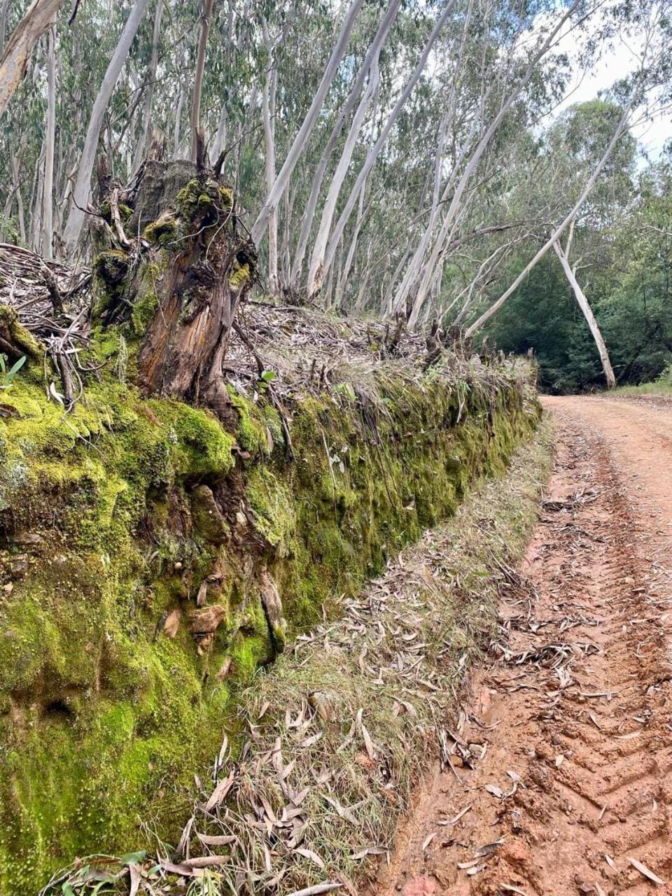 REDVERSDALE- 4 x 4 Recommended House in KwaZulu-Natal
