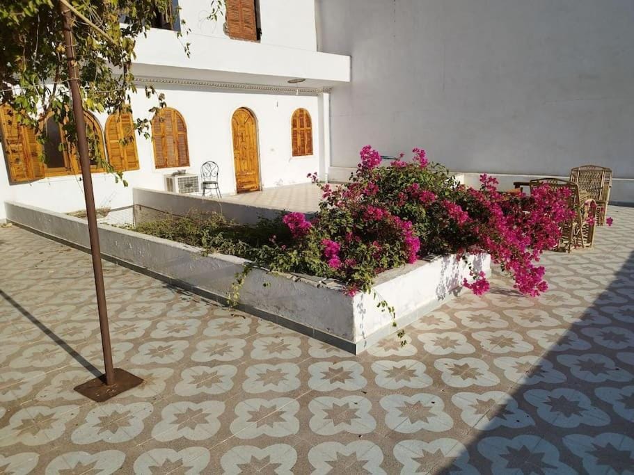 Property building, Patio, Garden