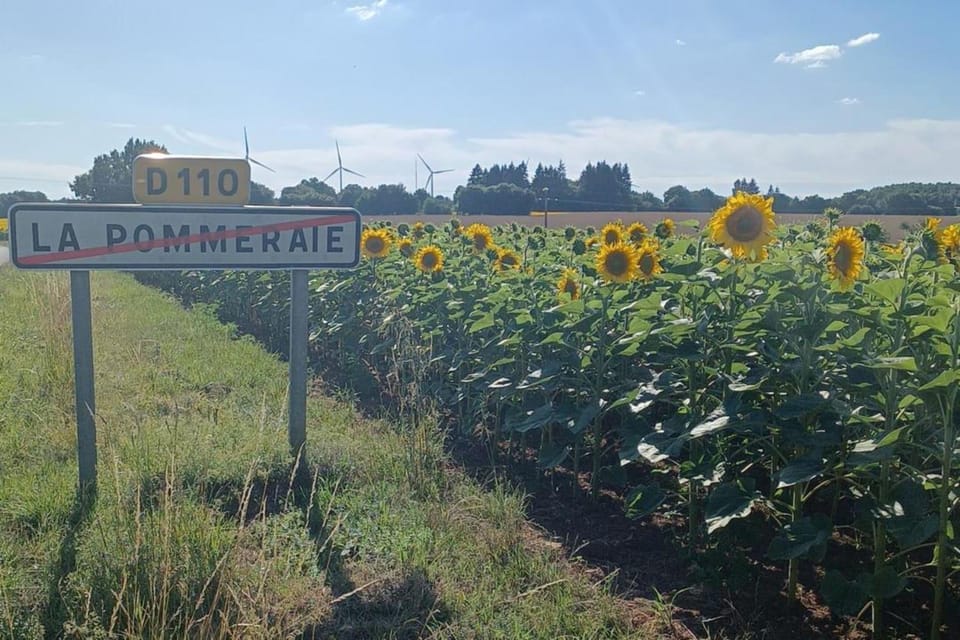 9 Guests - Pet Friendly in rural West France House in Nouvelle-Aquitaine