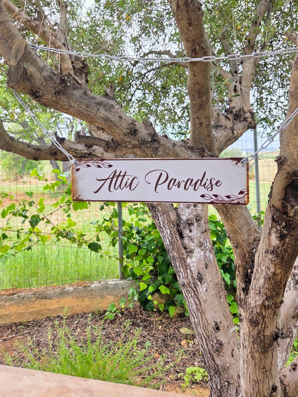 Property logo or sign, Garden, Street view