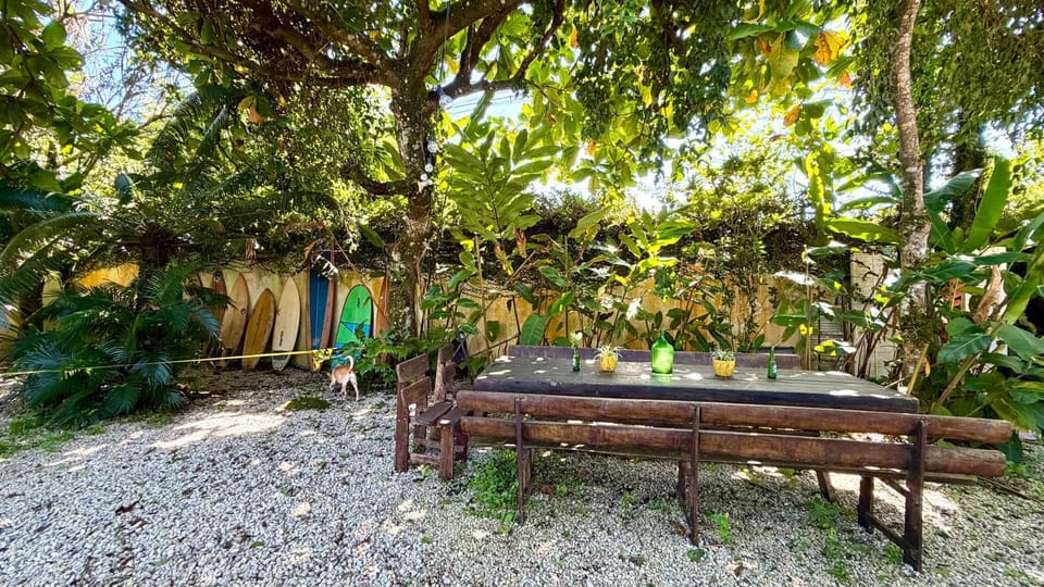 Day, Garden, Dining area, Garden view