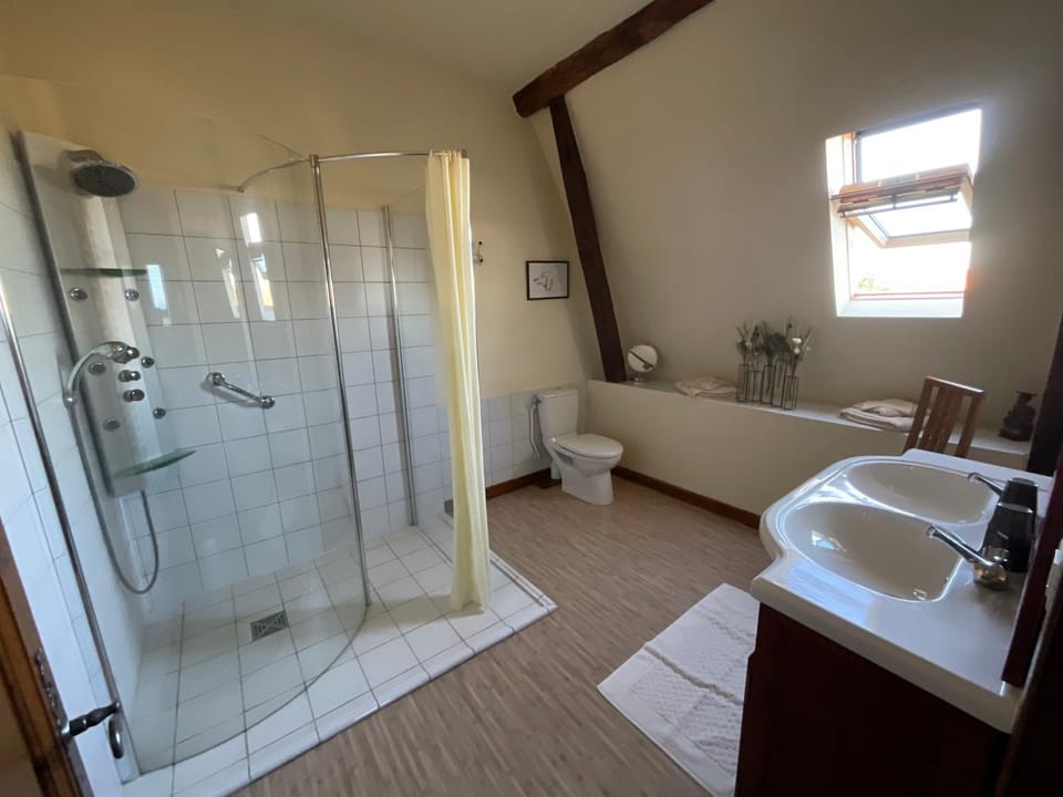 Shower, Toilet, Bathroom, towels