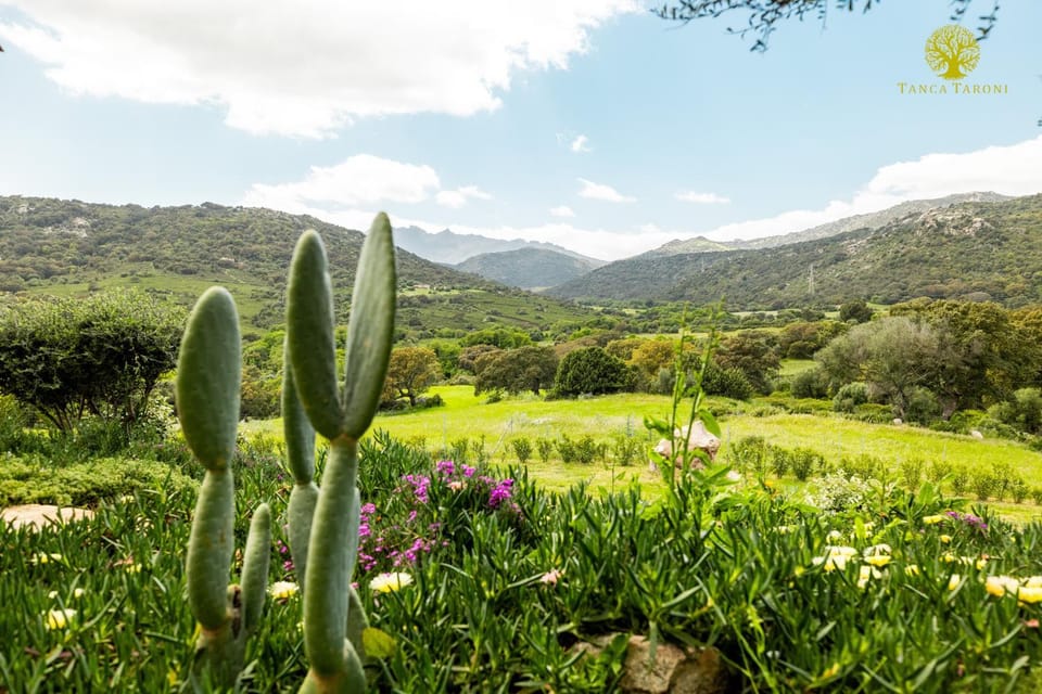 Agriturismo Bed and Breakfast Tanca Taroni Farm Stay in Sardinia