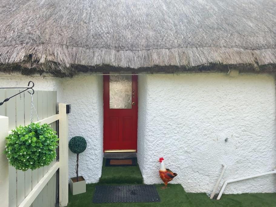 Eddie's Thatched Roadside Cottage Apartment in County Donegal