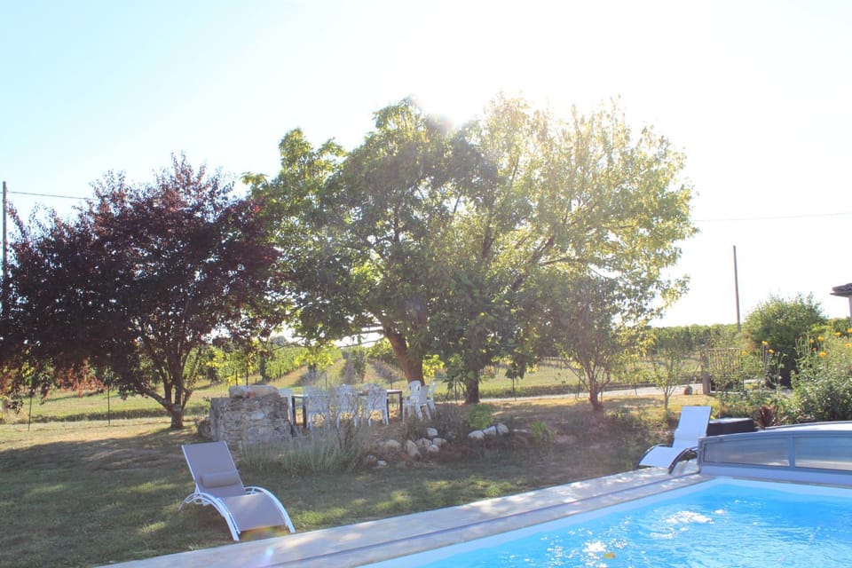Garden, Swimming pool, sunbed