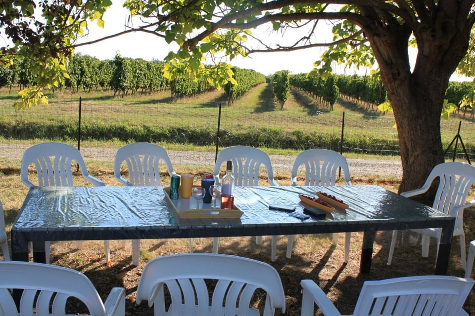 Natural landscape, Garden, Dining area