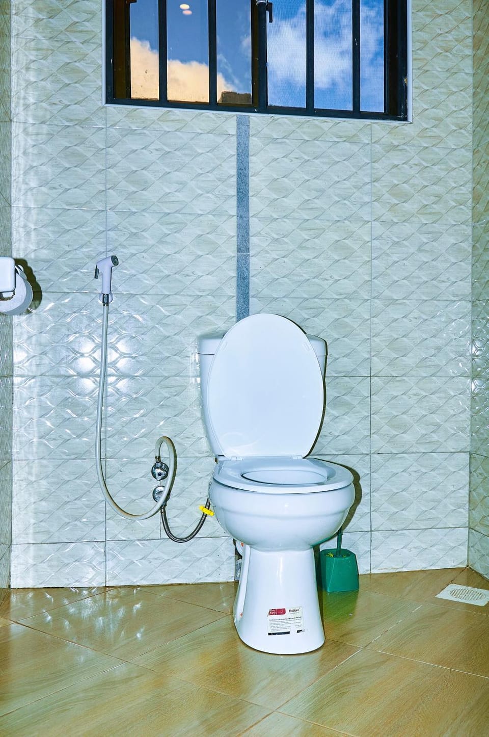 Toilet, Bathroom