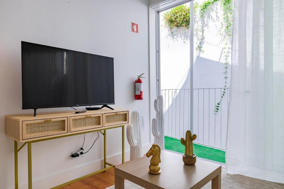 TV and multimedia