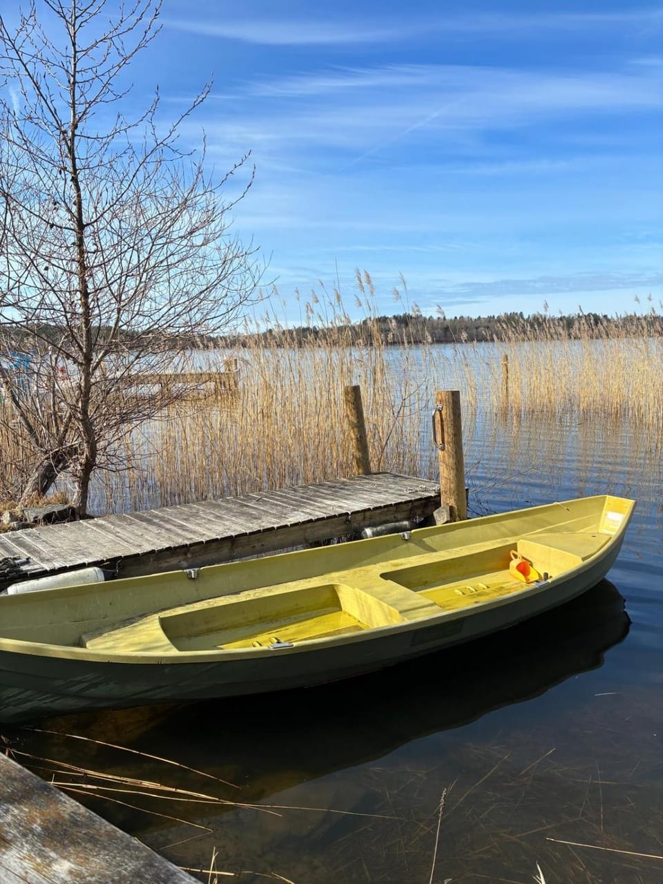Day, Natural landscape, Activities, Lake view