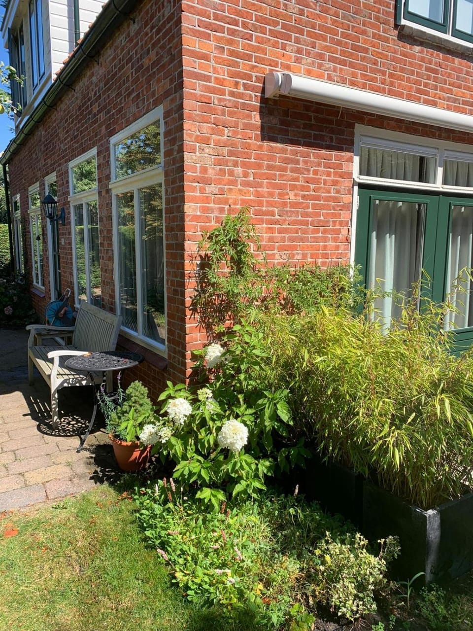 Property building, Day, Garden