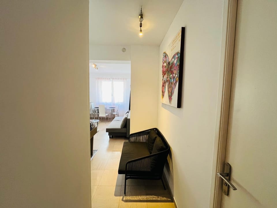 Grand studio de 30 m2 Promenade des Anglais Apartment in Nice