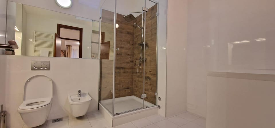 Shower, Toilet, Bathroom, bidet