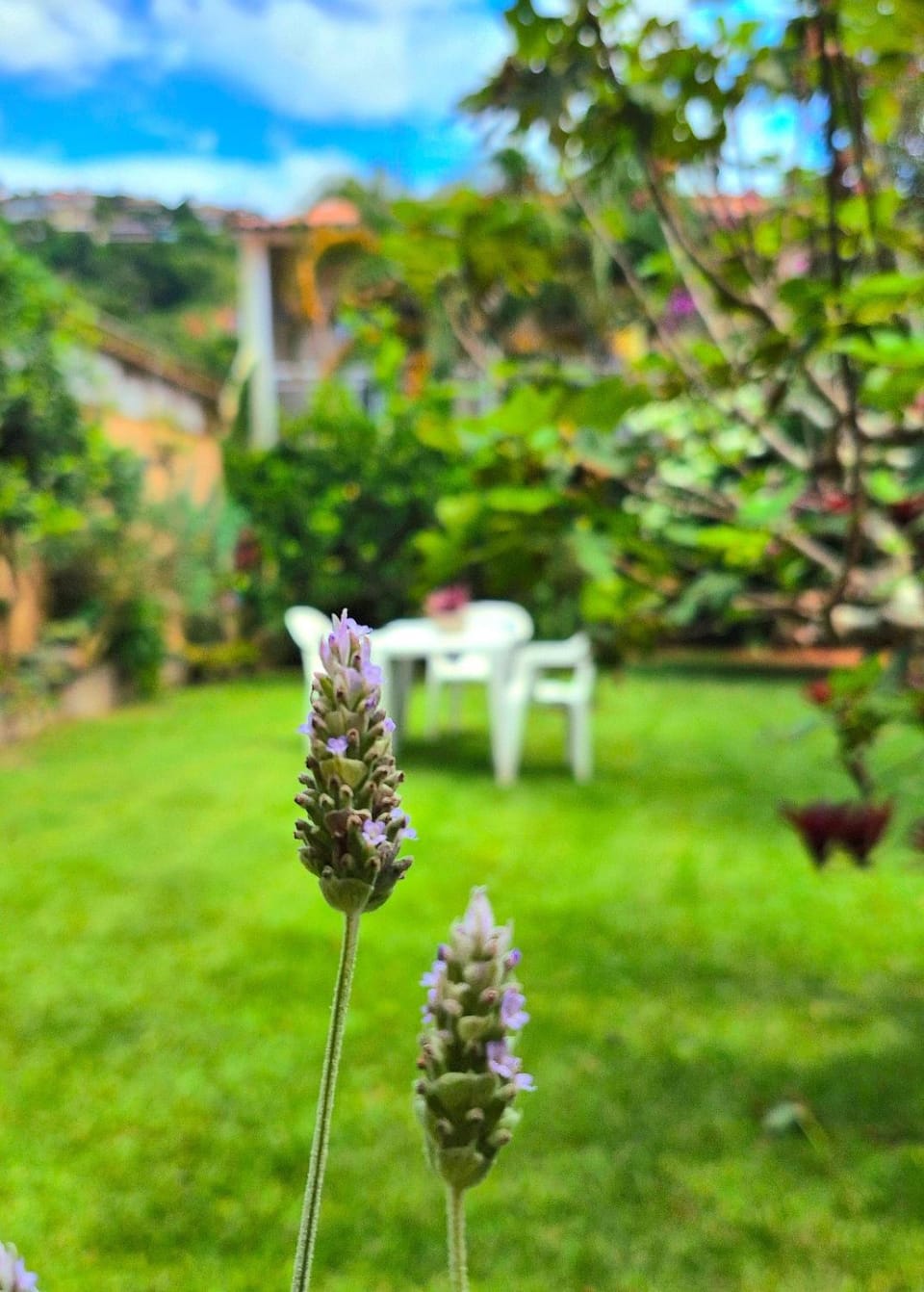 Spring, Day, Natural landscape, Garden, Garden view