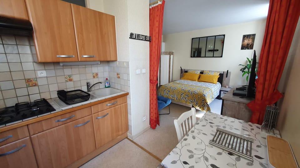 Le Lamartine hyper centre Aix les Bains avec parking et climatisation Apartment in Aix-les-Bains