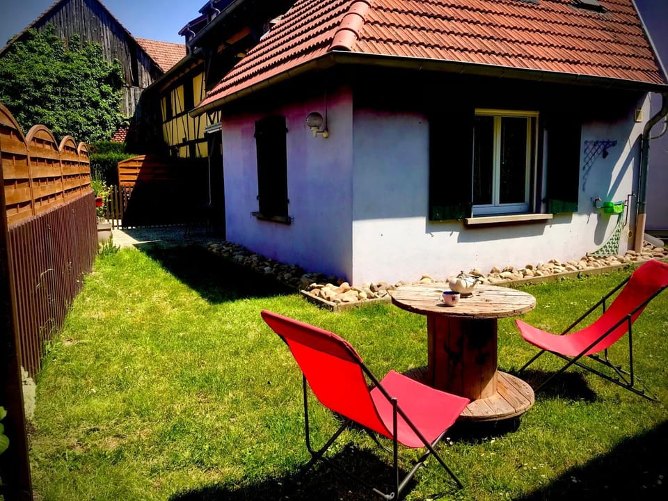 Garden, Garden view, sunbed