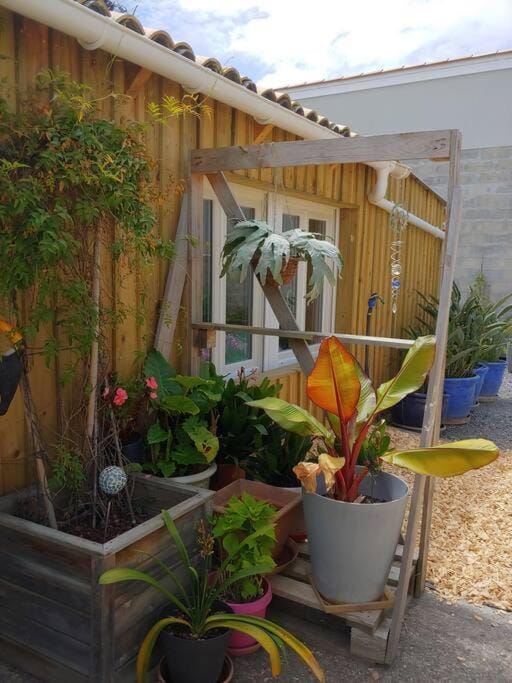Studio cocooning Apartment in Le Porge