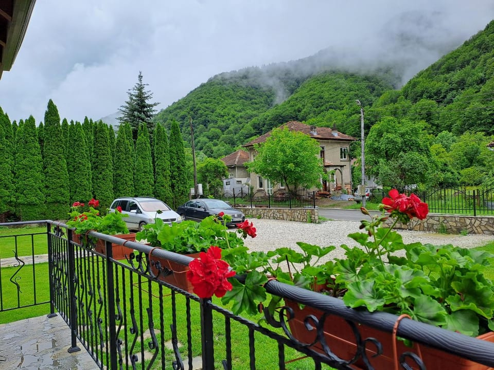 Natural landscape, Garden, Garden view, Mountain view, Parking