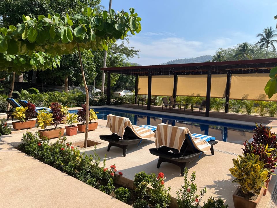 Patio, Garden, Balcony/Terrace, Garden view, Pool view, Swimming pool, Swimming pool, sunbed