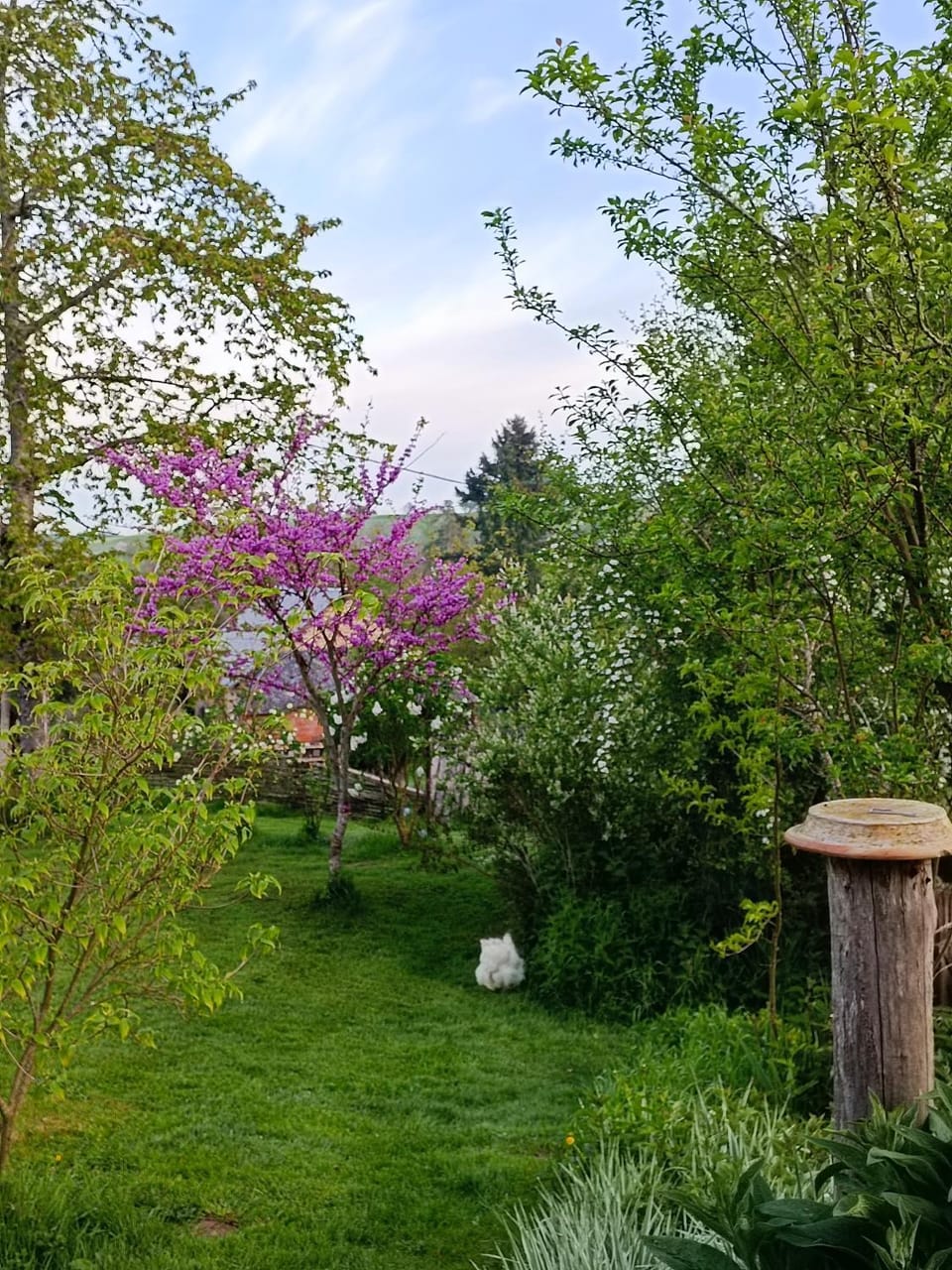 Spring, Garden view