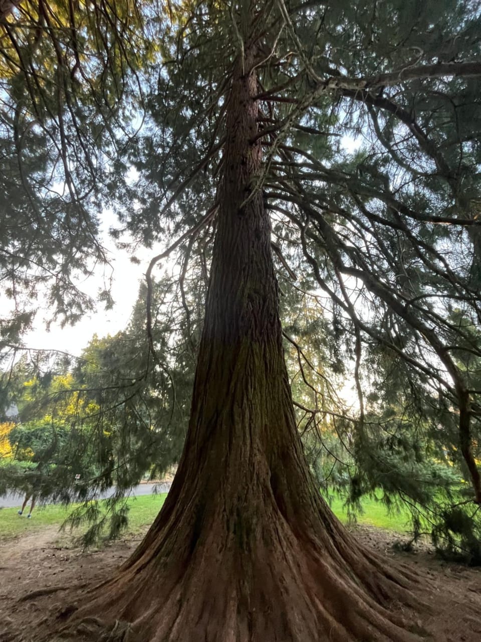 Altitude Location Montagne Apartment in Auvergne-Rhône-Alpes