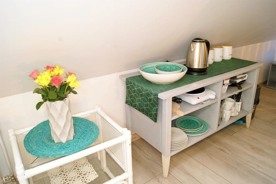 poddasze wilka Apartment in Masovian Voivodeship