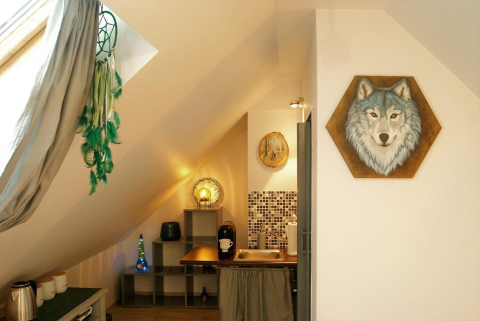 poddasze wilka Apartment in Masovian Voivodeship