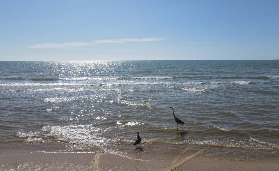 Condo 4, In town and steps to the beach and Malecon House in San Felipe