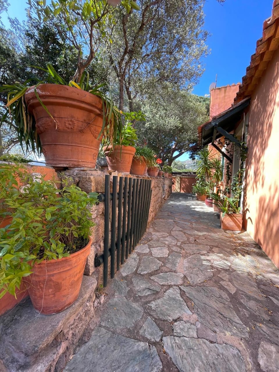 Property building, Patio, Day