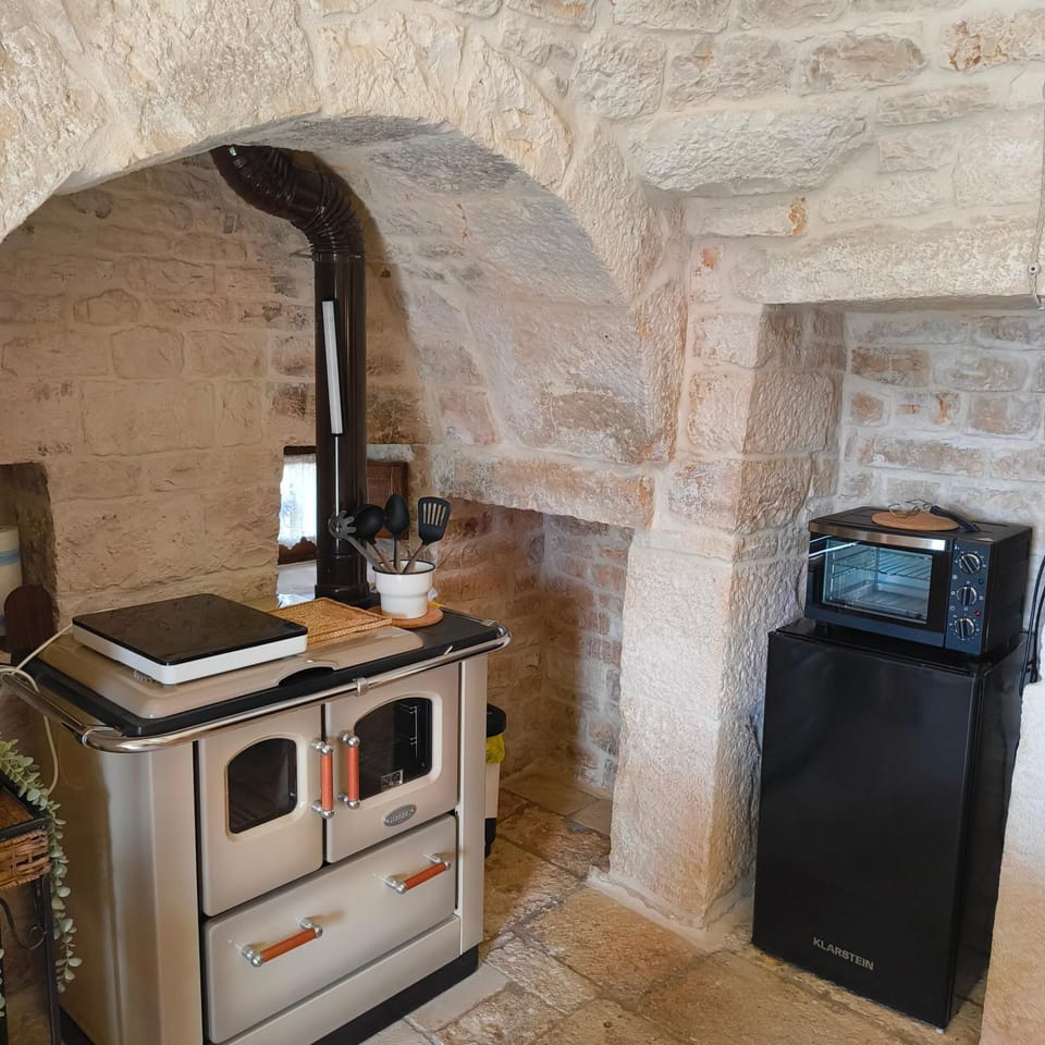 Kitchen or kitchenette, minibar, oven, stove